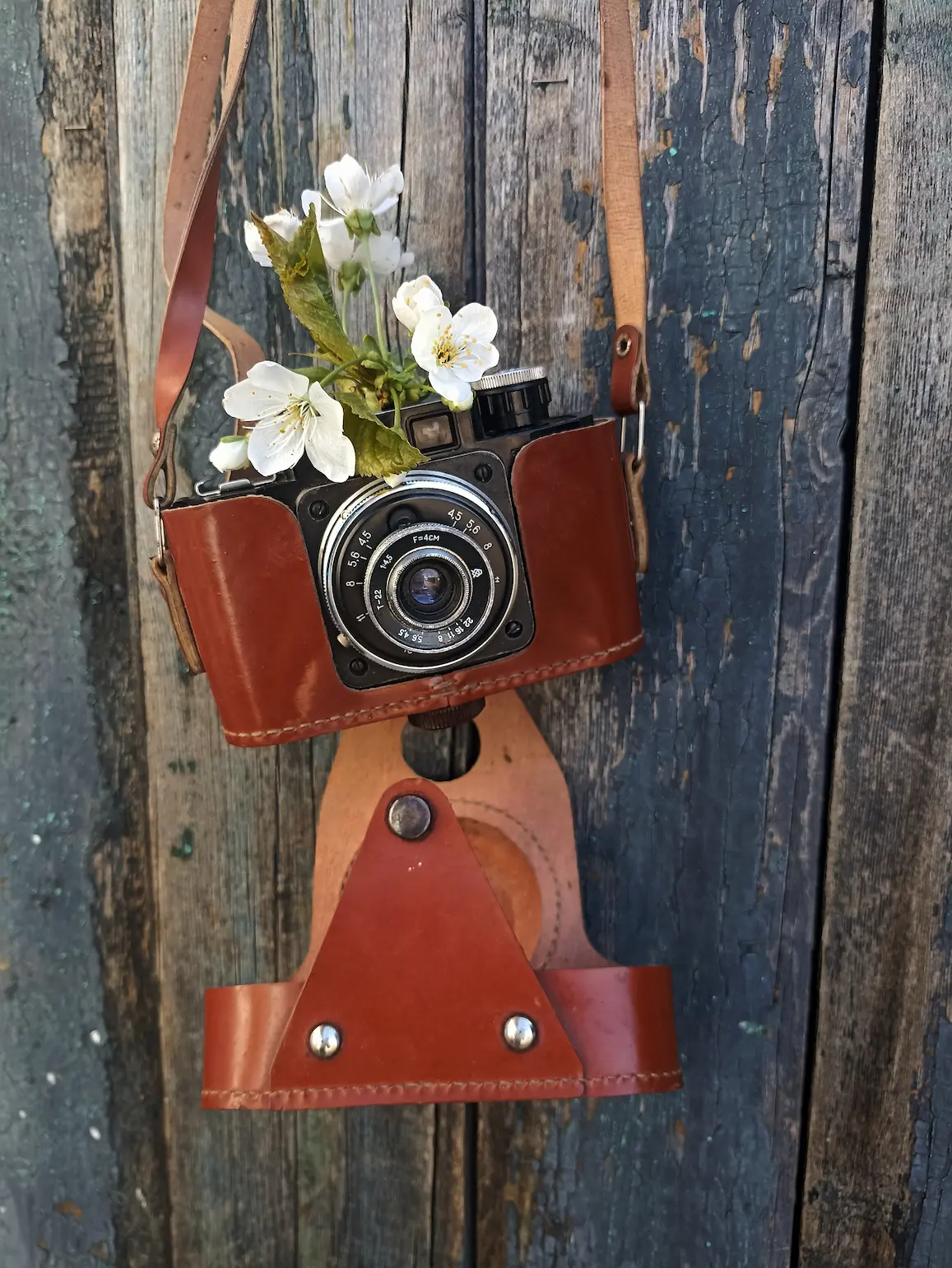 Фото После обучения