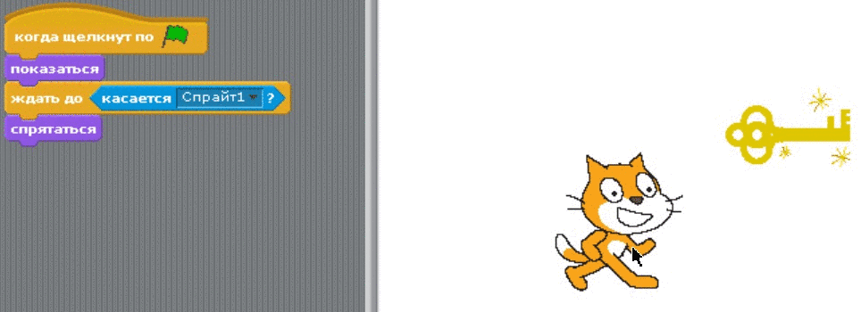 Котик 