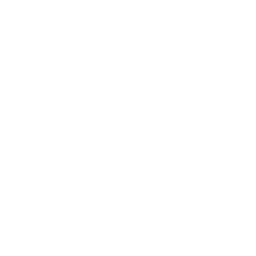 Описание изображения